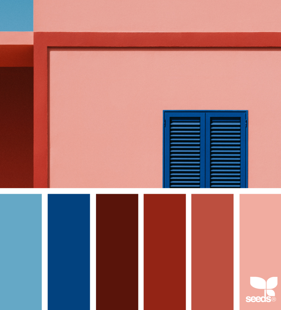 Цветовые сочетания в архитектуре