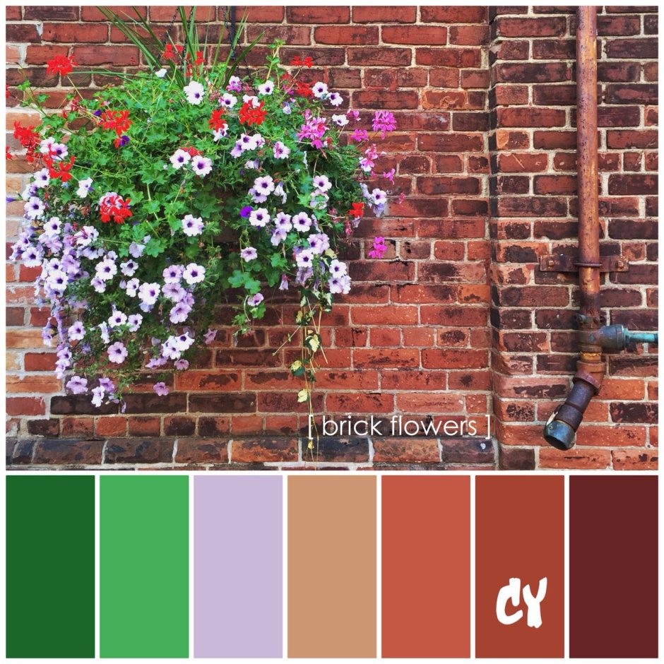 Цветы нафоте кирпичной панели