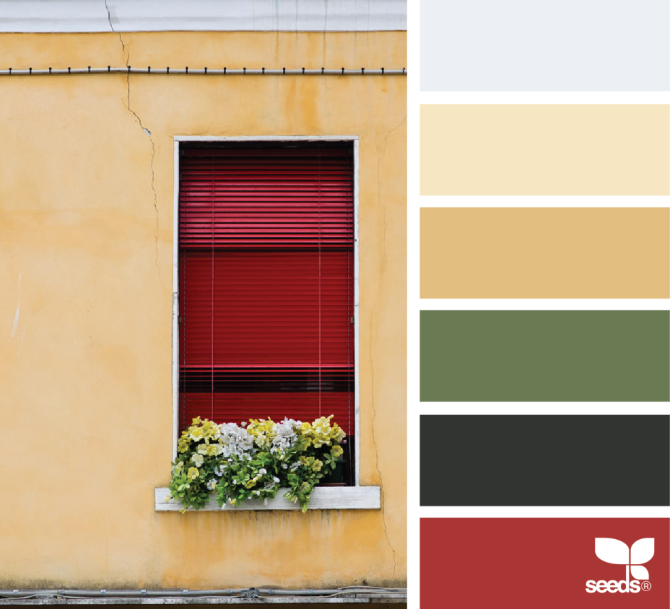 Сочетание цветов