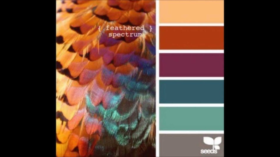 Терракотовый цвет в одежде