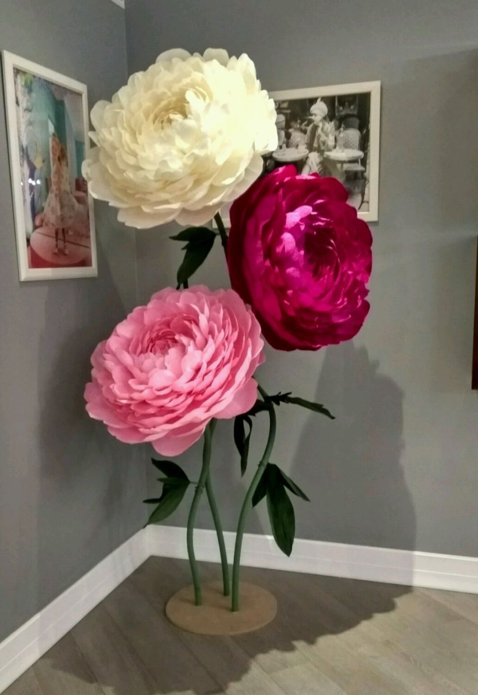 Клузия фото