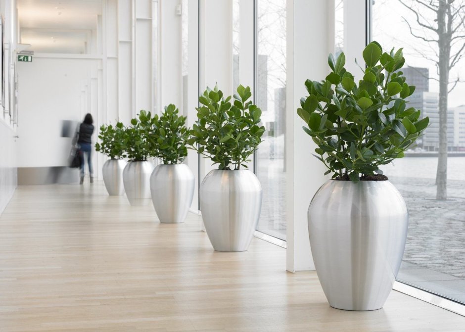 Напольные вазы для интерьера