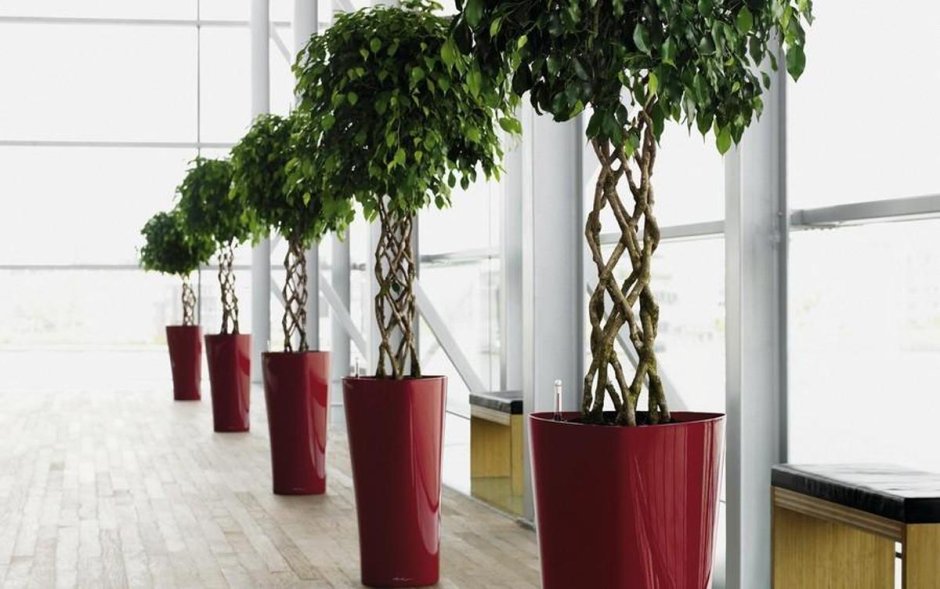 Кашпо Лечуза Кубико 40