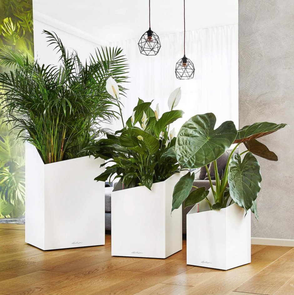 Искусственные цветы в интерьере