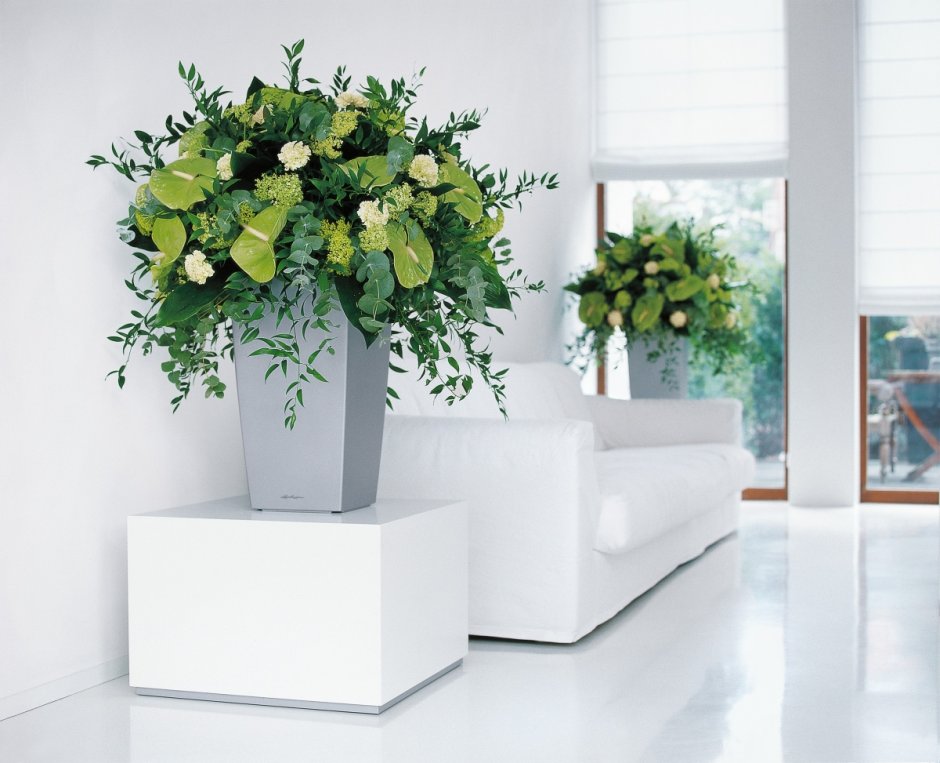 Цветы для напольной вазы