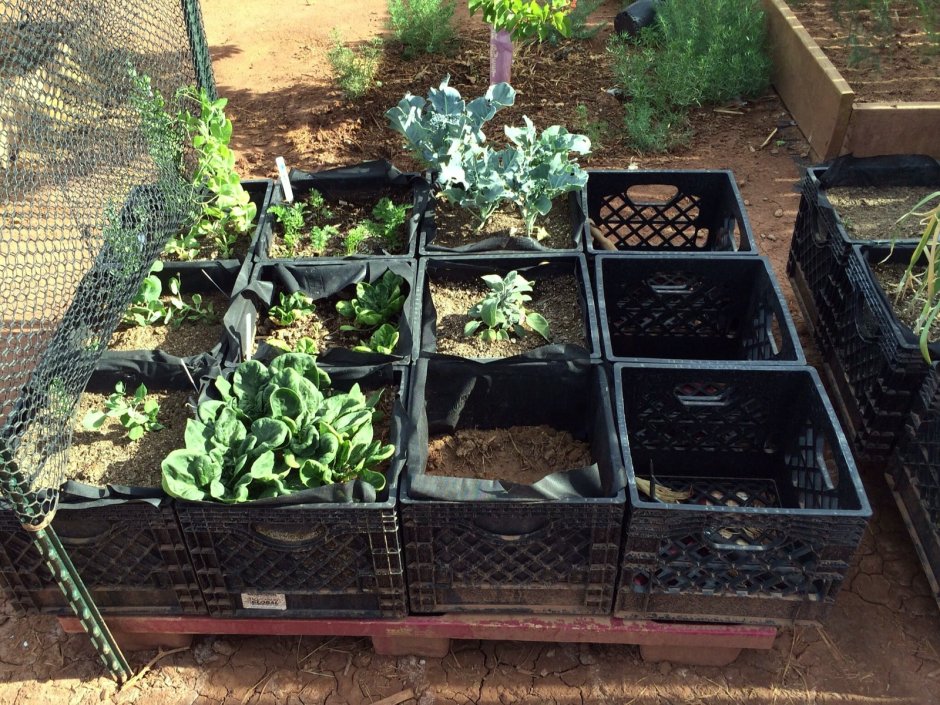 Пластиковые ящики на даче