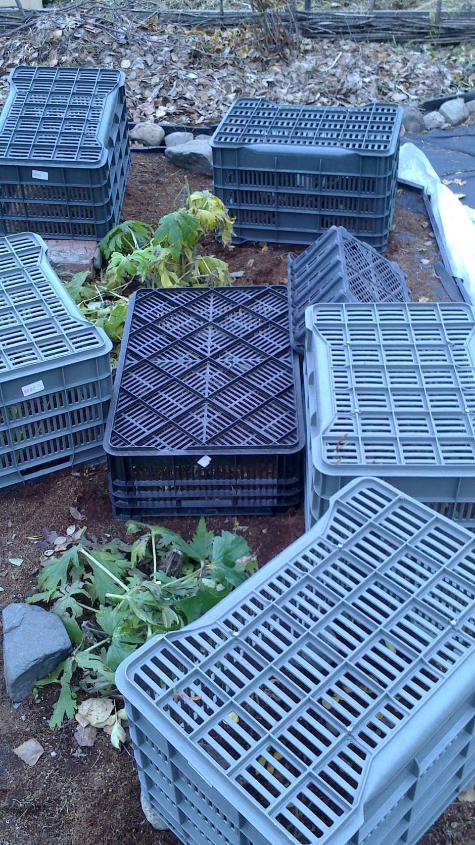 Грядки из пластмассовых ящиков