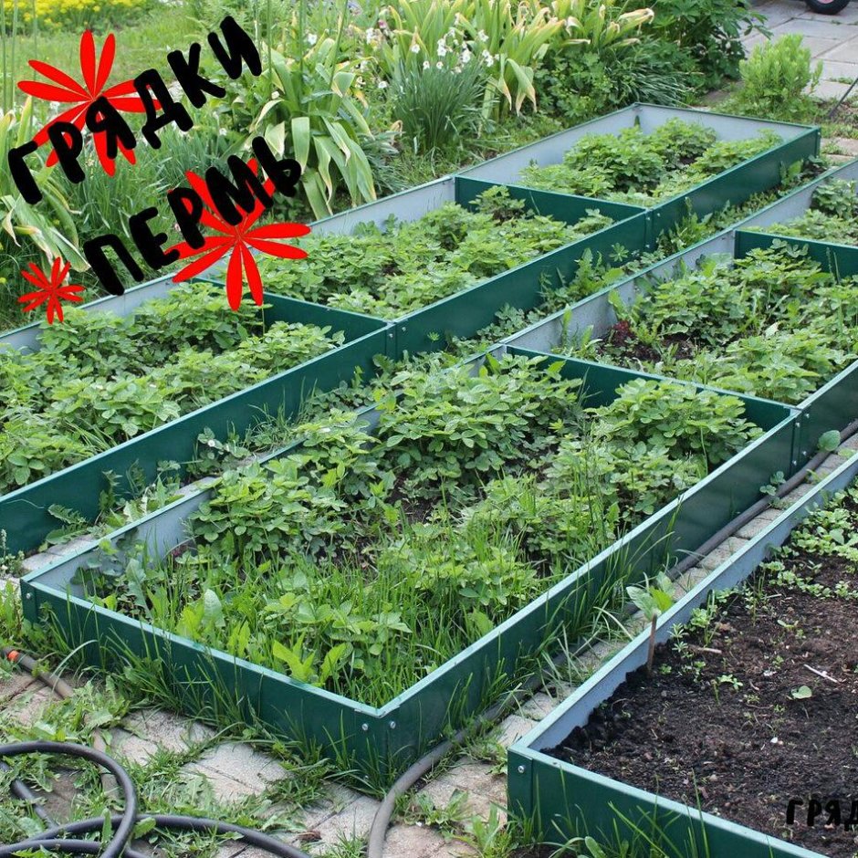 Забор декоративный renessans