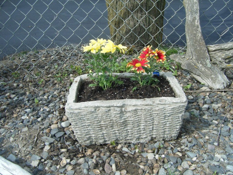 Пластиковые ящики в огороде