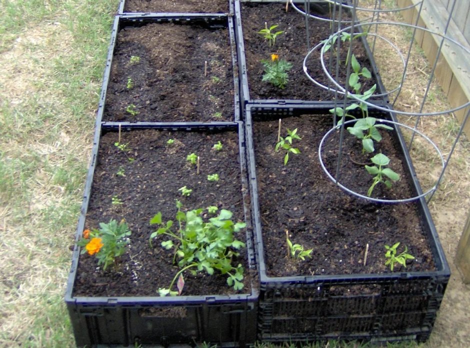 Клумба из пивных бутылок