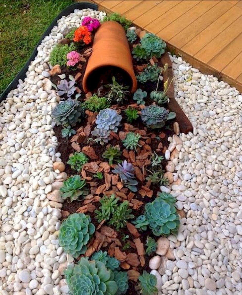 Суккуленты на клумбе