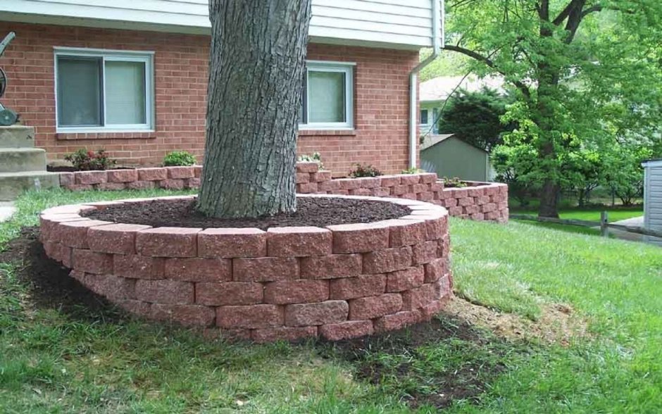 Подпорная стена вокруг дерева