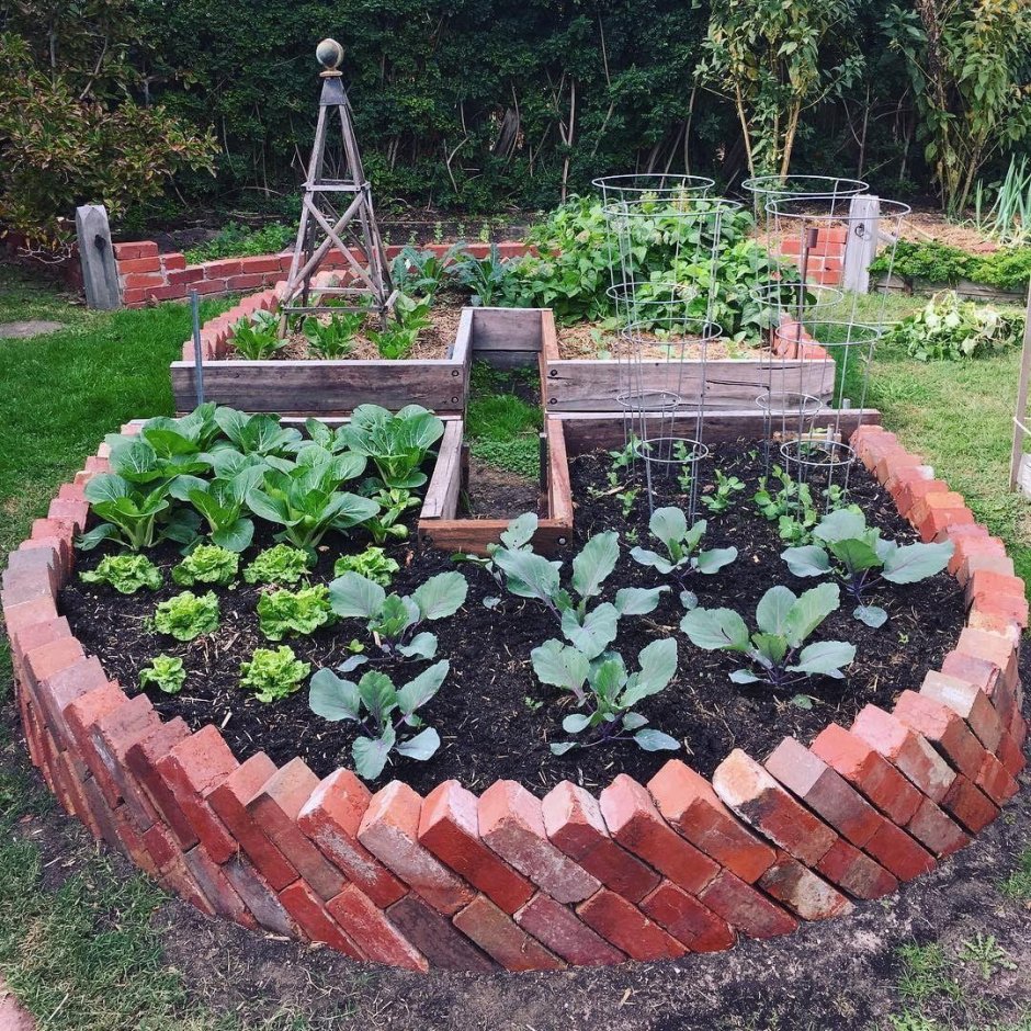 Оригинальные грядки для дачи