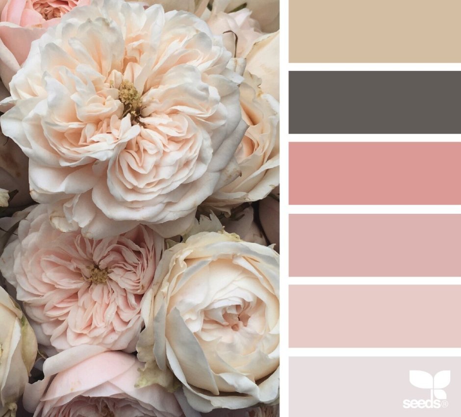 Нюдовая палитра