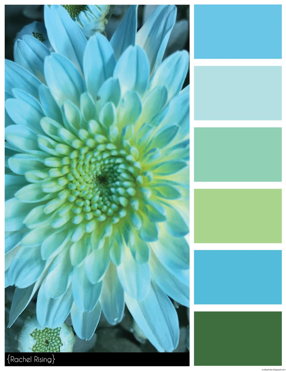 Сочетание желтого и зеленого