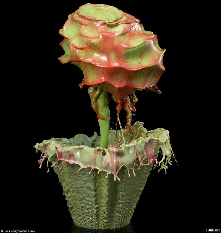 Жидкие цветы Джека Лонга