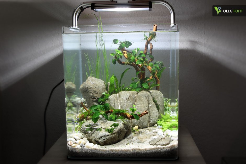 Акваскейп кубик 30