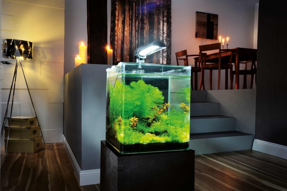 Маленький аквариум в интерьере