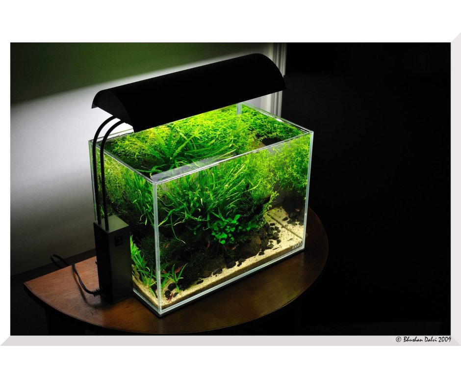 Аквариум маленький прямоугольный