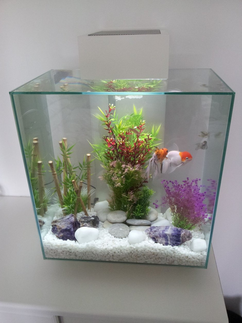 Акваскейпинг в круглом аквариуме