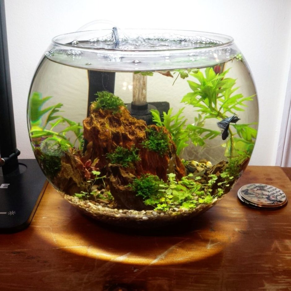 Маленький аквариум для рыбок декорировать самому
