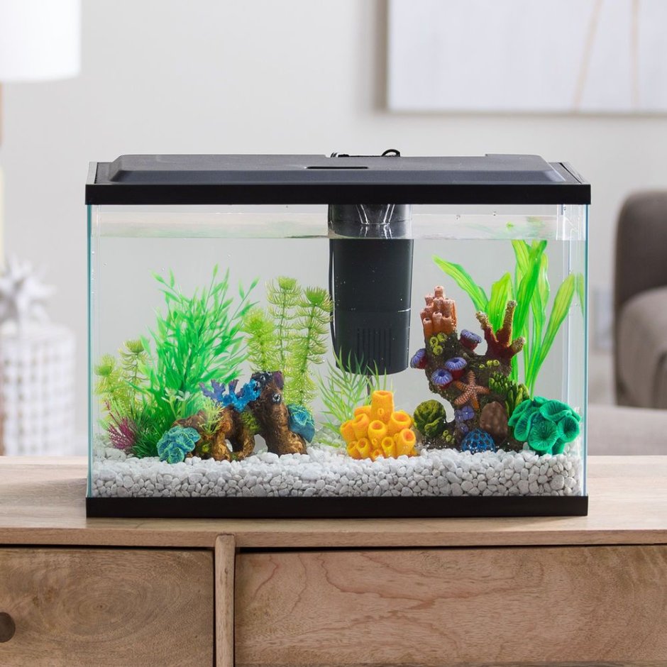 Акваскейп в Кубе 30