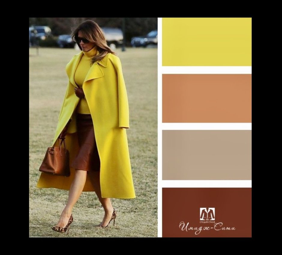 Цветовая палитра желтый серый