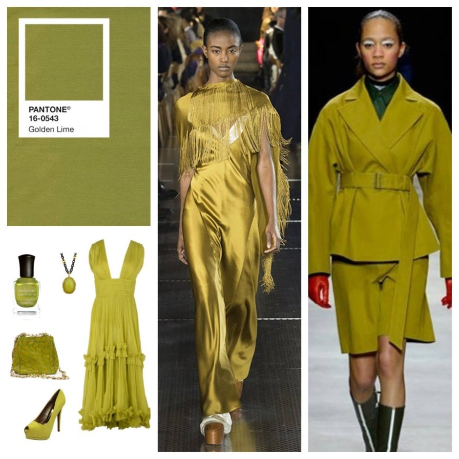 Болотный цвет сочетание в одежде