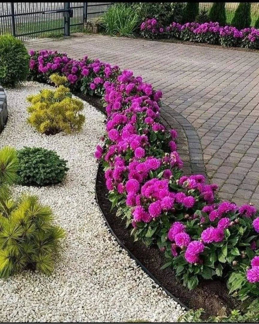 Рабатка цветник