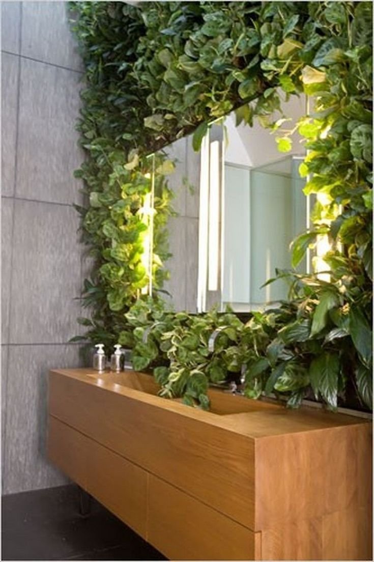 Папоротник нефролепис в интерьере