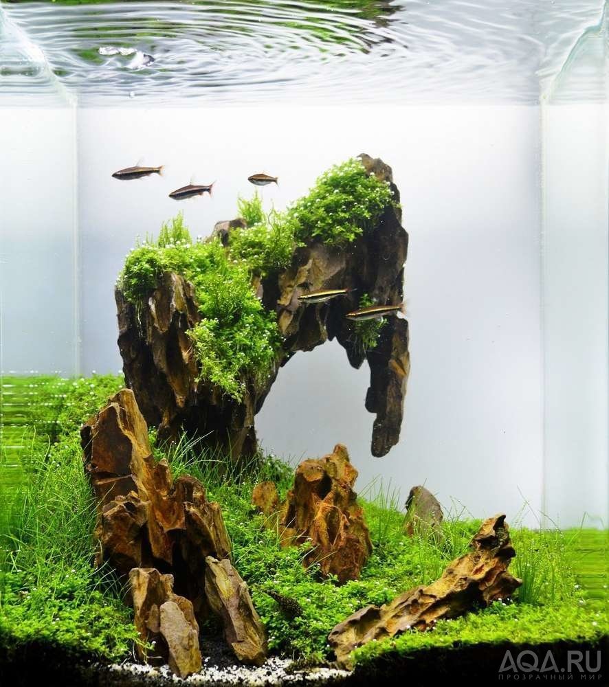 Акваскейп 2021