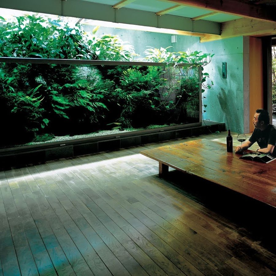 Аквариумист Такаши Амано