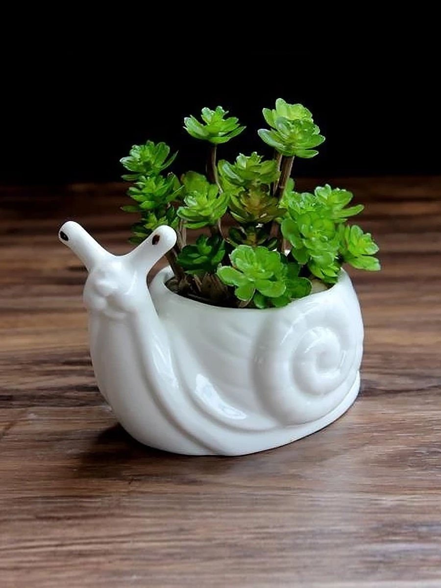 Scheurich panna горшок