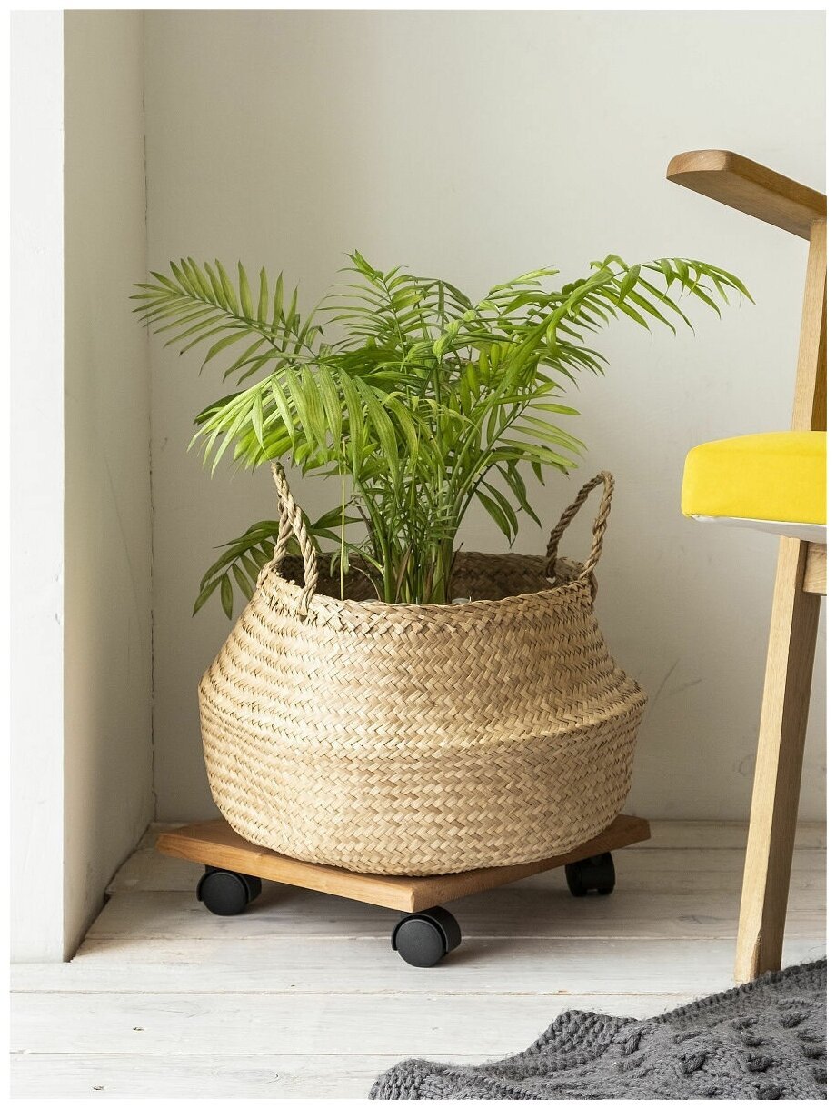 Подставка для растения, Laptev