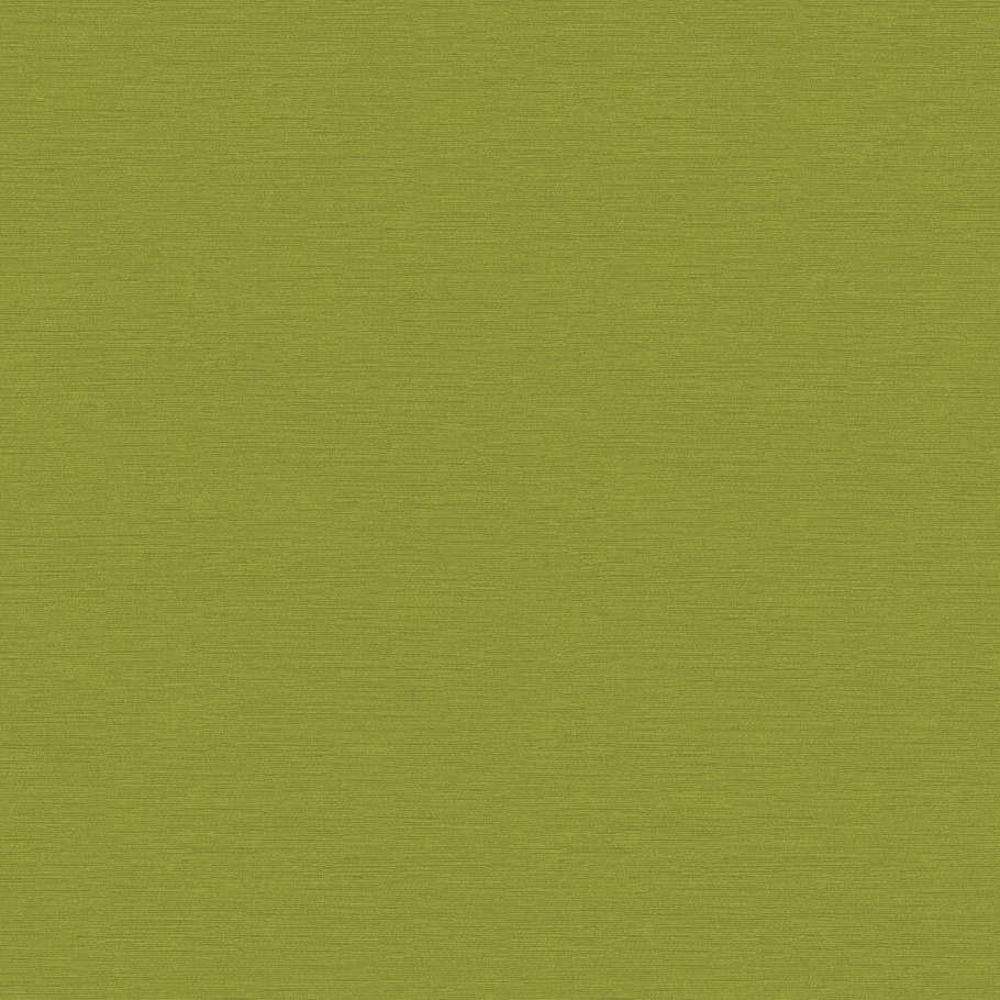 Кардсток 216гр/м 30,5*30,5см Лесной папоротник