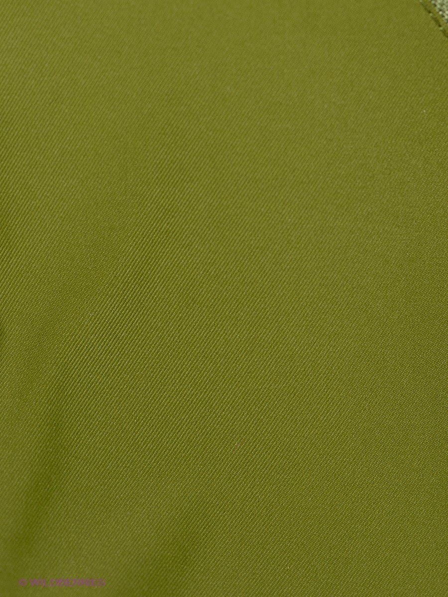 Болотно зеленый цвет