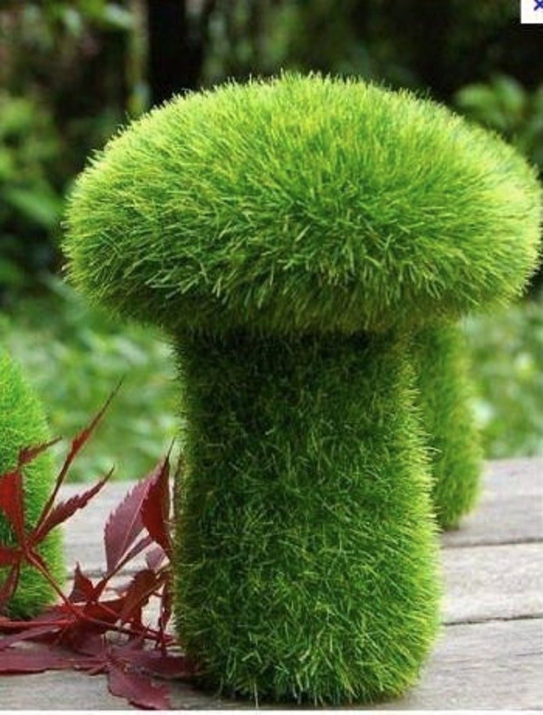 Искусственная трава