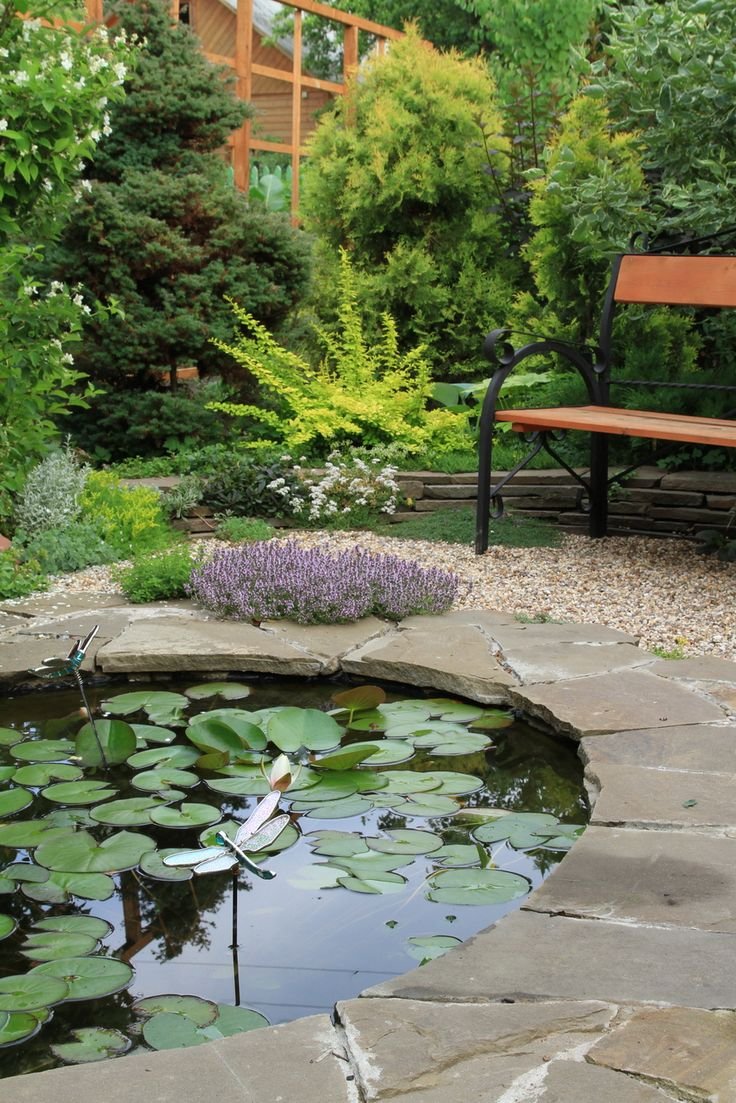 Клумба возле прудика