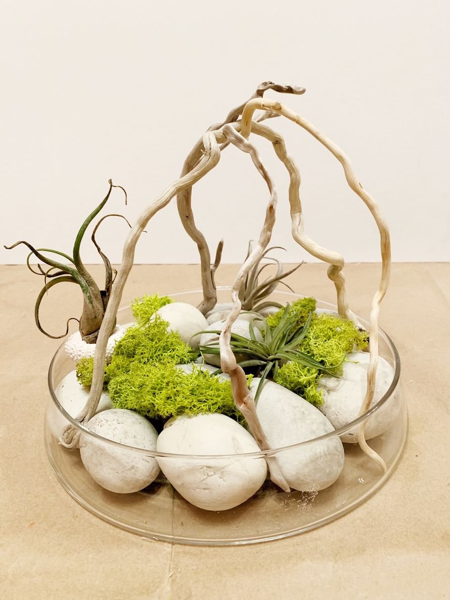 Цветочные композиции из комнатных растений