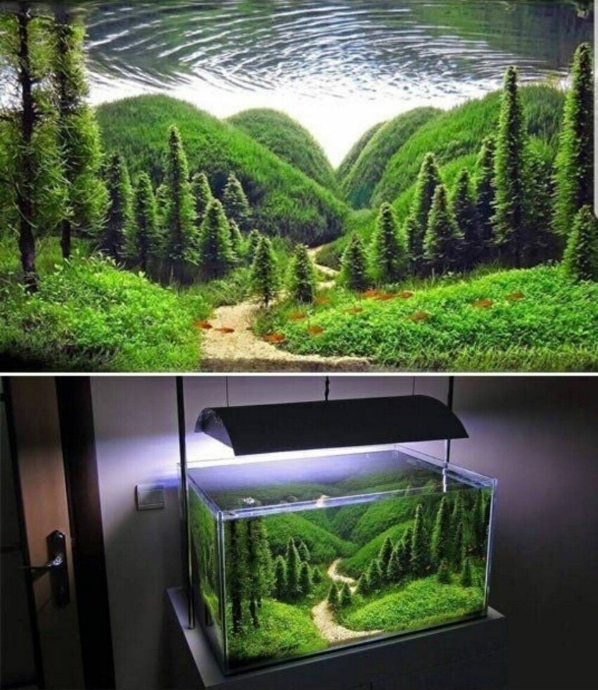 Акваскейп голландский