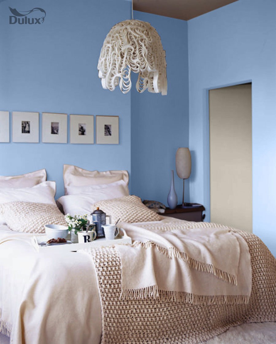 Dulux 50yr 16/127 цвет