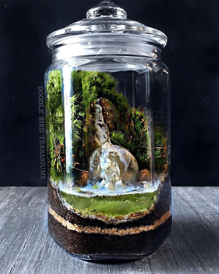 Вивариум флорариум