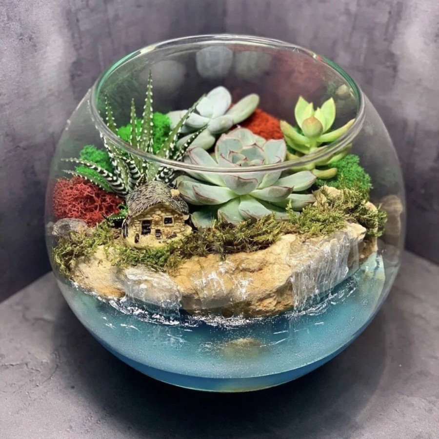 Флорариум с кактусами