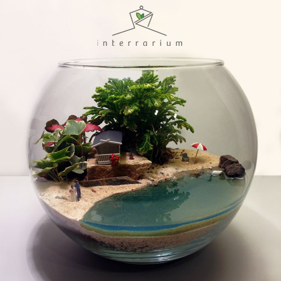 Флорариум сад феи