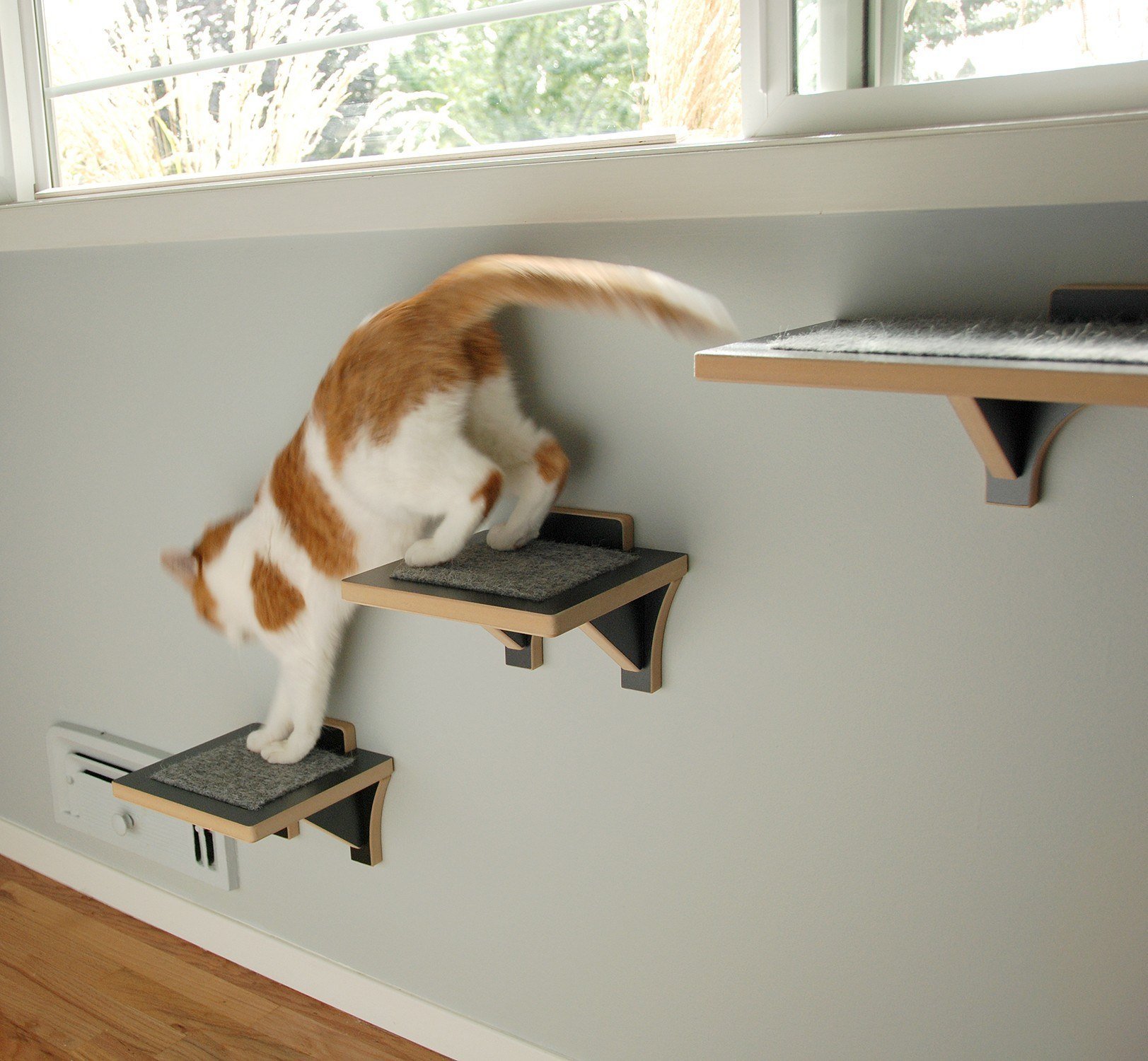 Кошачий балкон. Полка для кошки. Лестница для кошек. Полки лесенки для кошек. Настенная лестница для кошек.