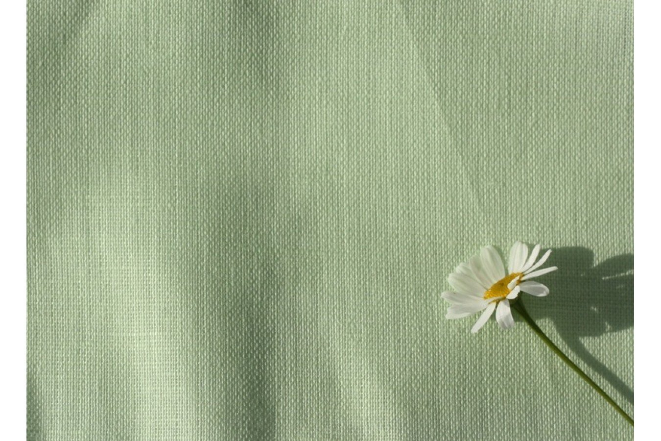 Ткань зеленая с цветами. Фисташковый u6501. Зеленый лен. Зеленая ткань. Светло зеленая ткань.