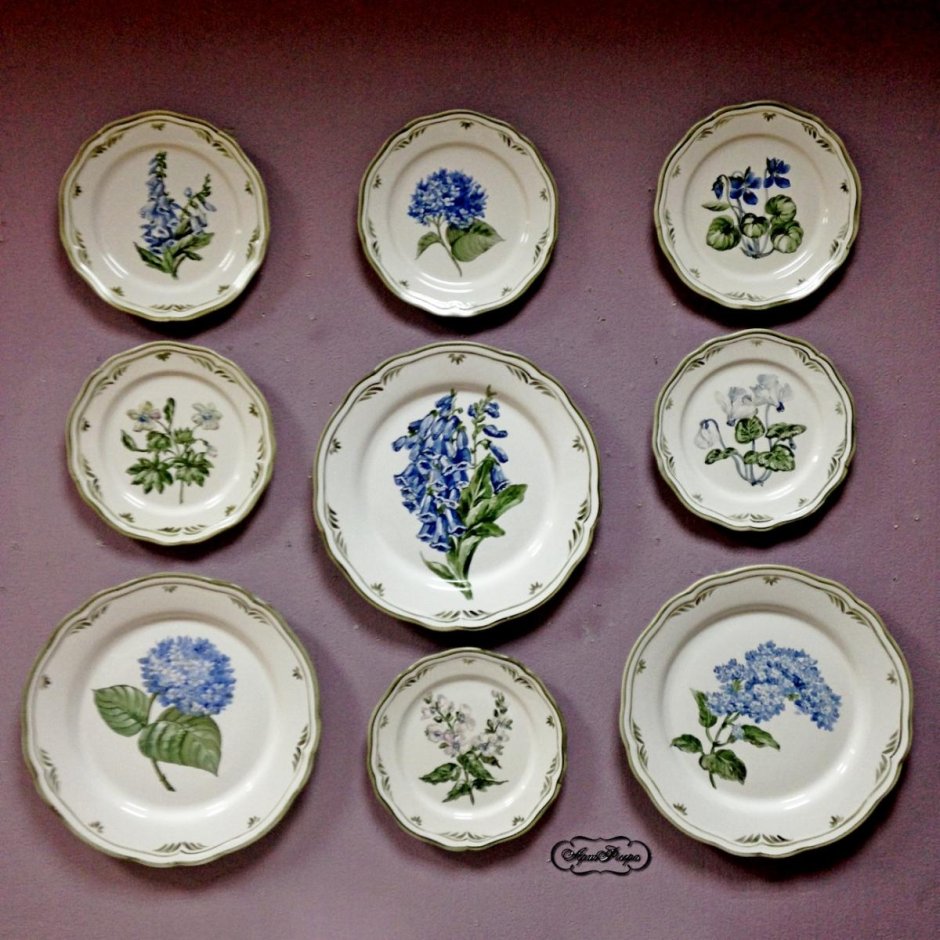 Тарелки декоративные Seltmann Weiden