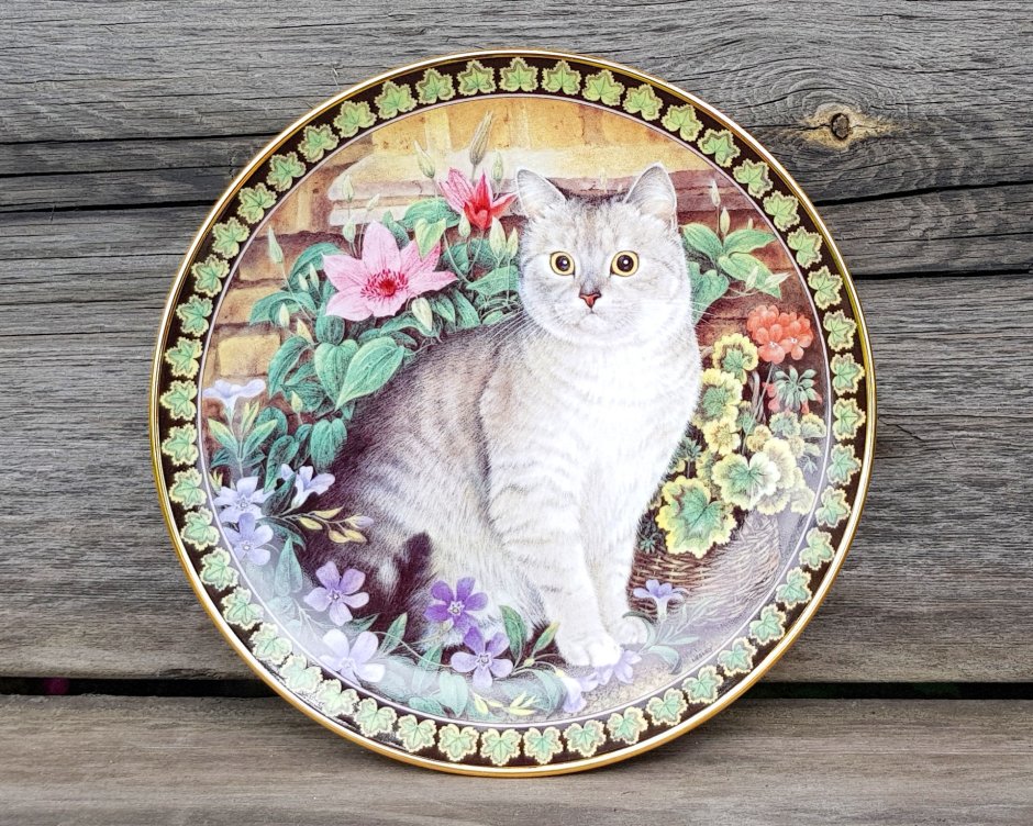 Тарелки на стене