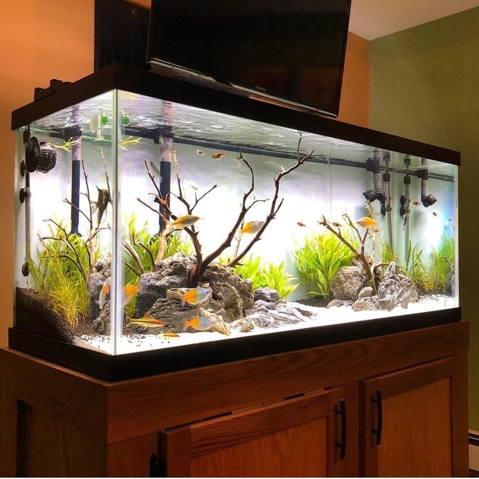 Аквадизайн искусственными растениями