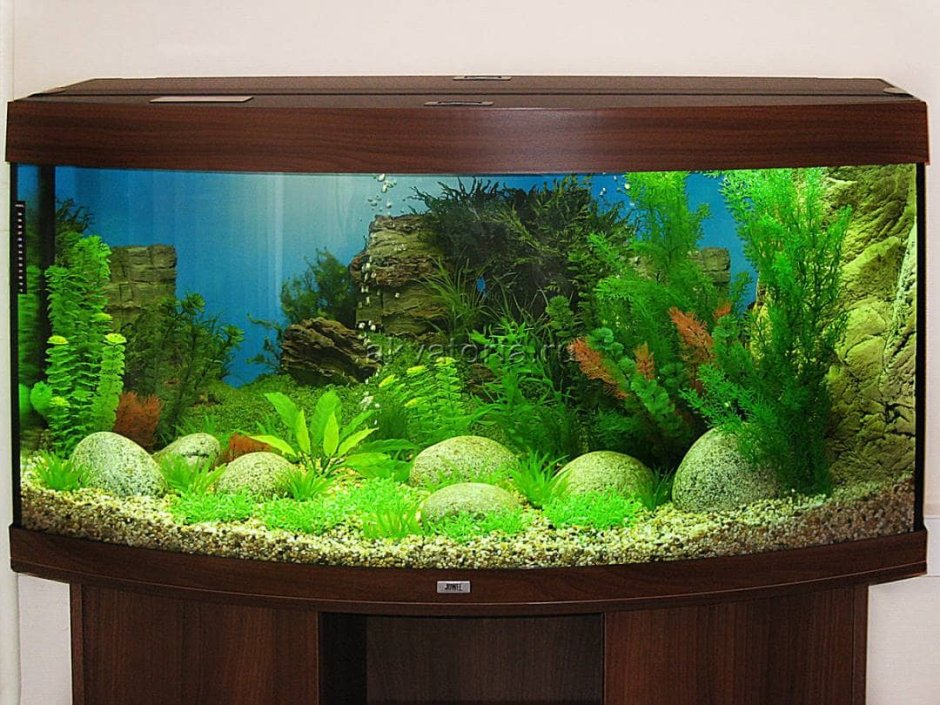 Красивые аквариумы
